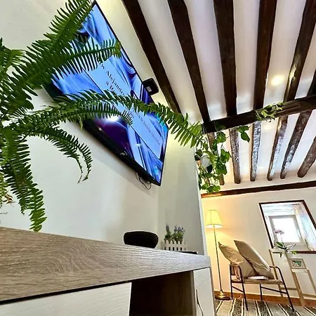 Con Piscina Climatizada * Icod De Los Vinos