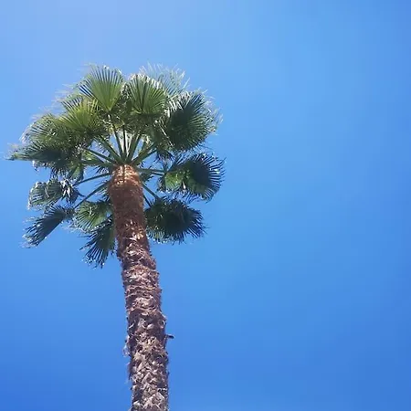 Holiday home Con Piscina Climatizada *