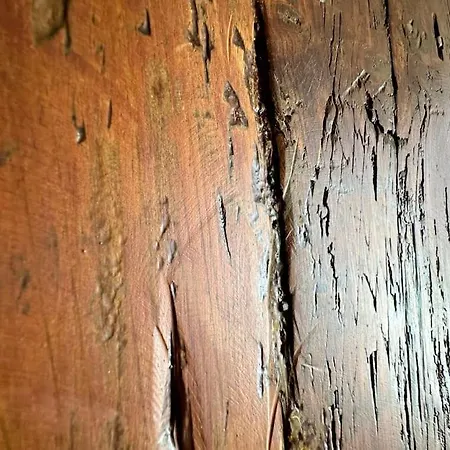 Holiday home Con Piscina Climatizada *