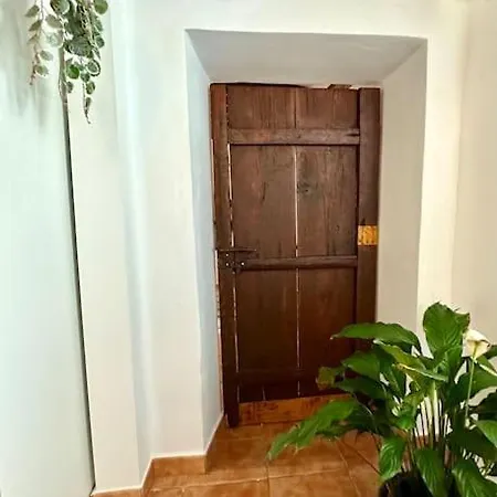 Con Piscina Climatizada Holiday home Icod De Los Vinos